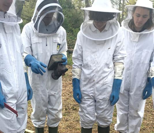 A hive of co-curricular activity at Bryanston