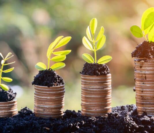 BCP lays out the 26 positive steps to tackle climate change locally