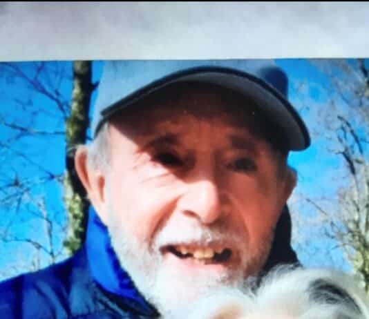 Searches underway to locate missing man from Dorchester