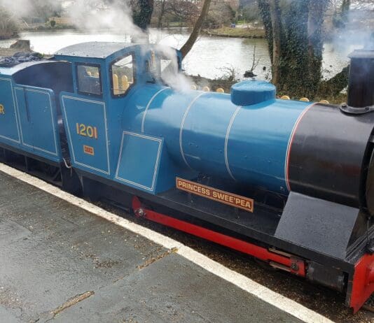 Riding on the iconic Poole Park Railway part of big plans for Poole