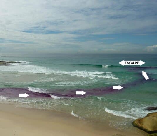 Drowning Prevention: Do Not Take Risks