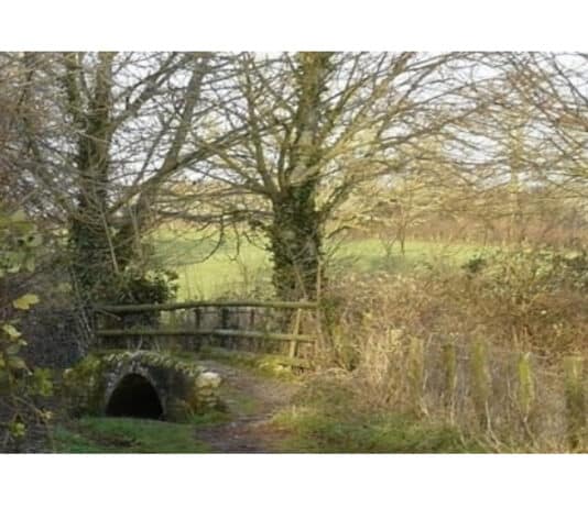 SAVE THE AREA NORTH OF DORCHESTER