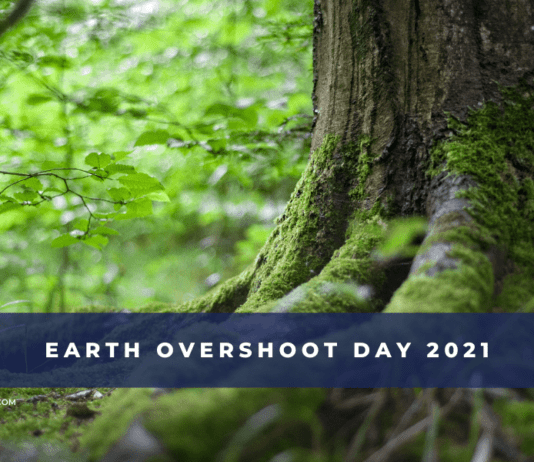 Earth Overshoot Day: We’ve already consumed more this year than the planet can regenerate