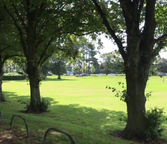 Dorset Town Amongst The Greenest In The UK