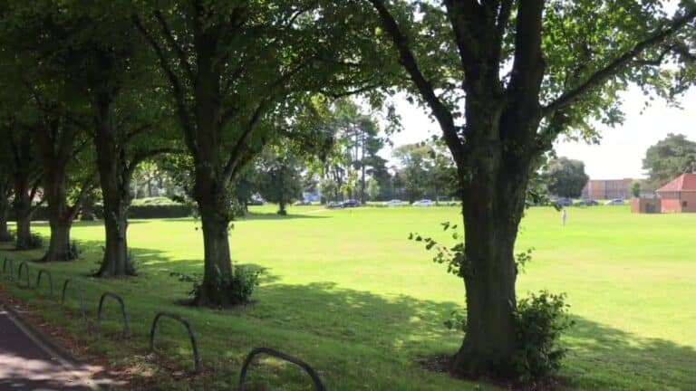 Transforming Cities Fund’s plans to improve green travel set to kick-off at Kings Park