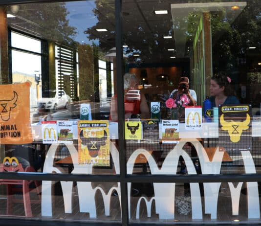 Climate protest at Yeovil McDonald’s