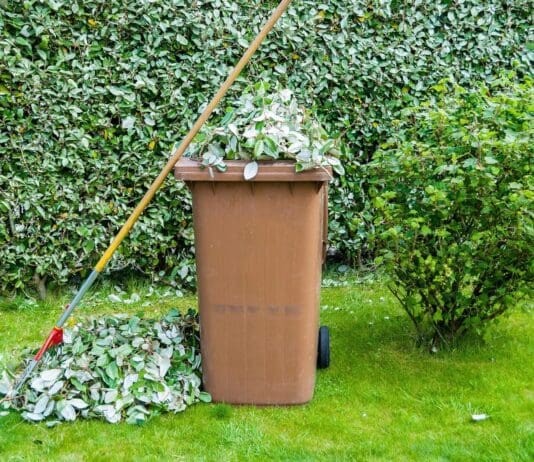 Garden waste collections across Bournemouth, Christchurch and Poole suspended