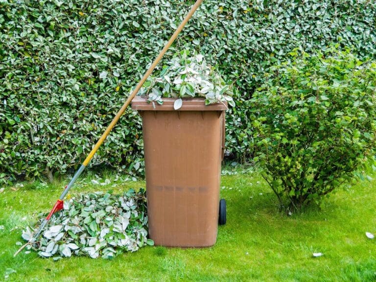 Garden waste collections across Bournemouth, Christchurch and Poole suspended