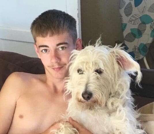 Family tribute following fatal road traffic collision in Blandford