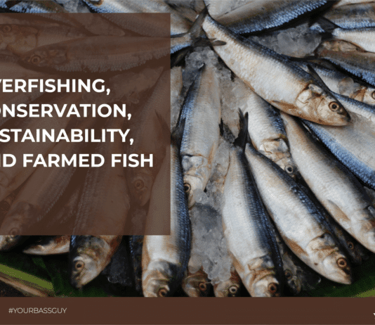 Overfishing, Conservation, Sustainability, and Farmed Fish