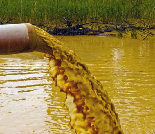 Dorset customer refuses to pay sewerage part of bill until water company cleans up their act