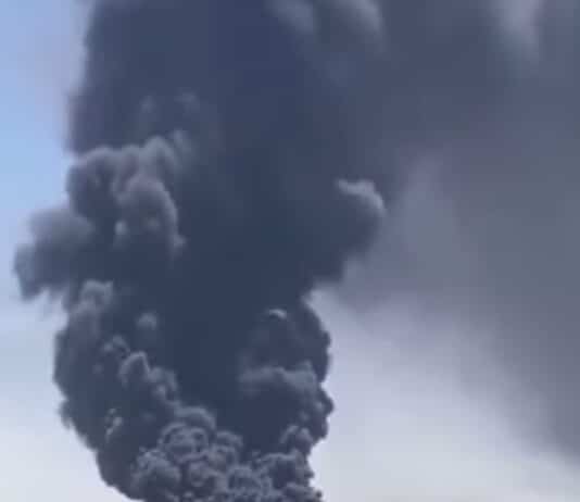 The Corporate Murder of Planet Earth (Part 1)