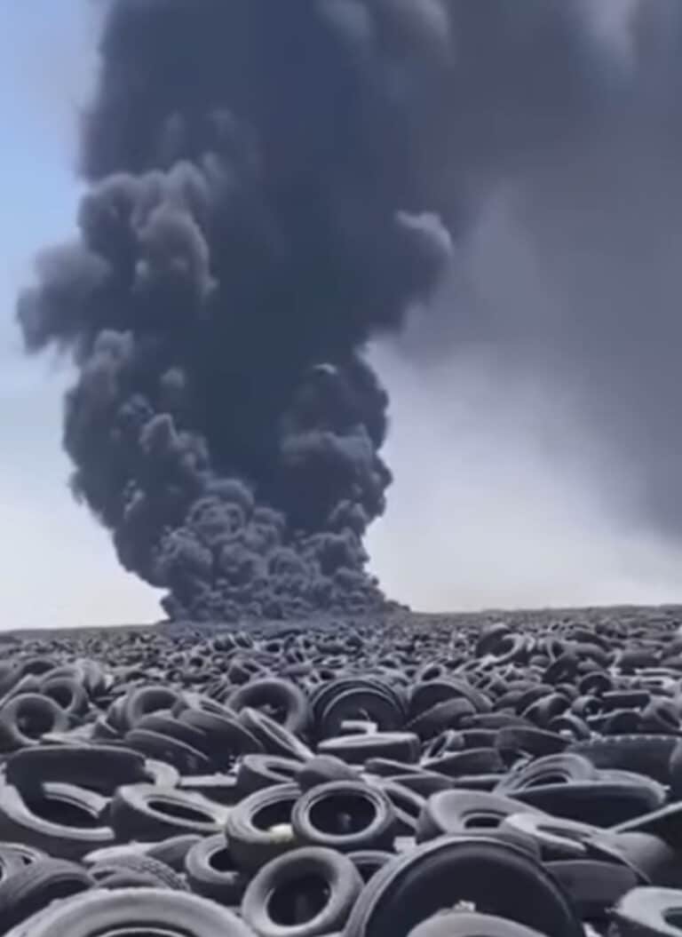 The Corporate Murder of Planet Earth (Part 1)