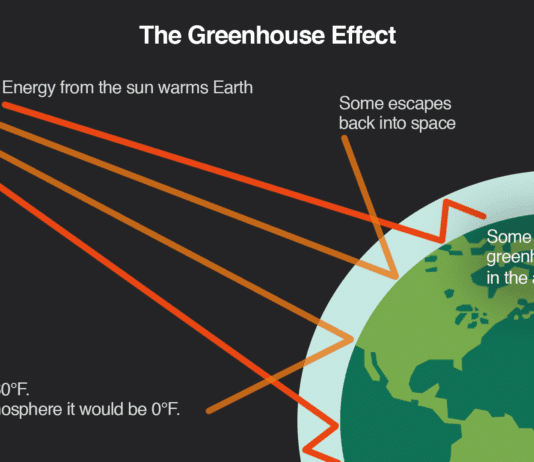 2020 highest for greenhouse gases in recorded history despite lockdown
