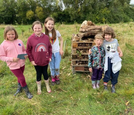 Local children create giant bug hotel at Community Woodland