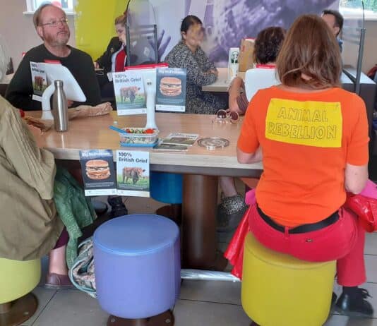 Climate activists takeover McDonalds in Dorchester