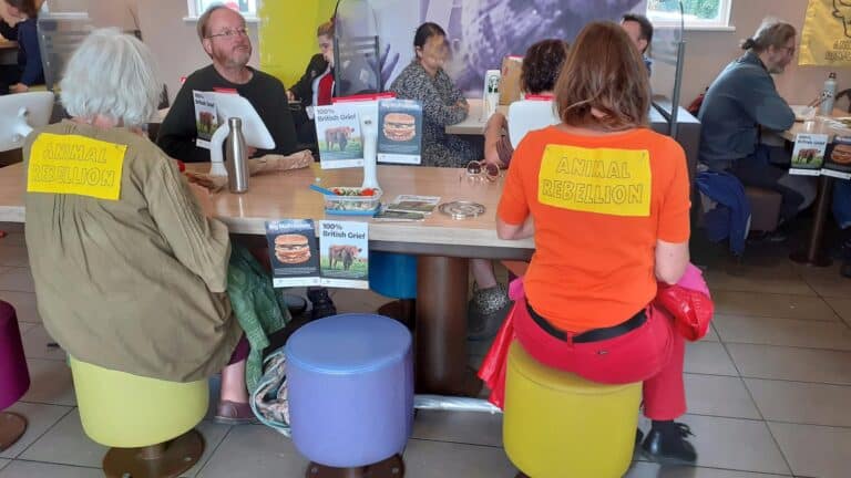 Climate activists takeover McDonalds in Dorchester