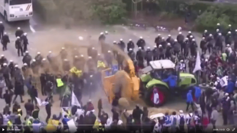 This is what happens when the Belgians get upset