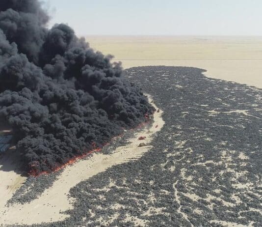 Boris Johnson and the far right are not saving the planet they are killing it