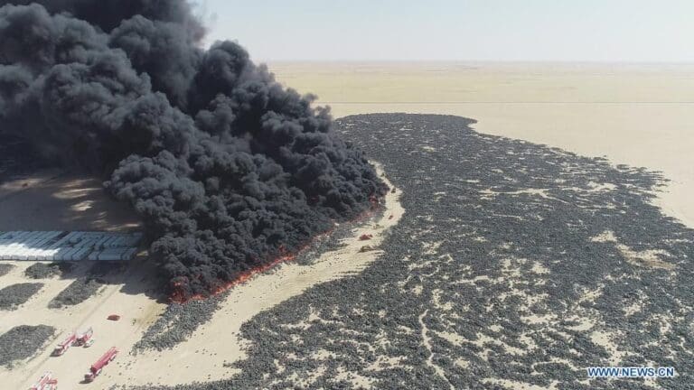 Boris Johnson and the far right are not saving the planet they are killing it