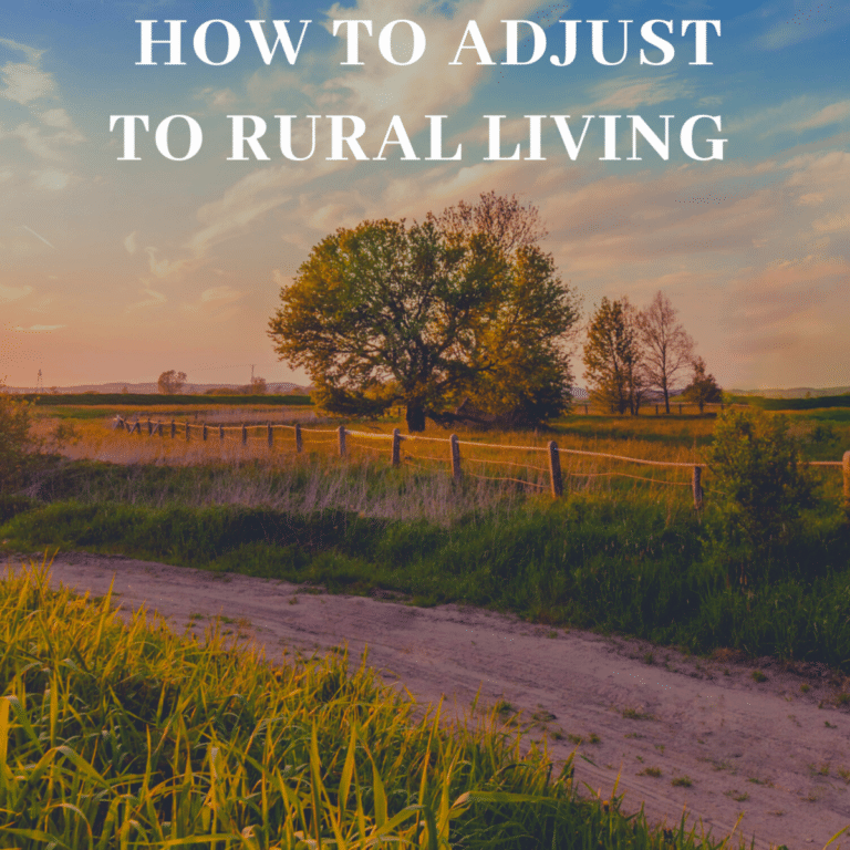 A guide to moving to the country