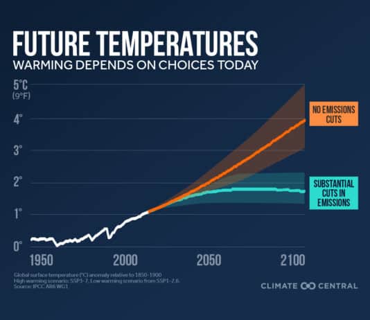 Local Solutions to the Climate Crisis – What You Can Do?