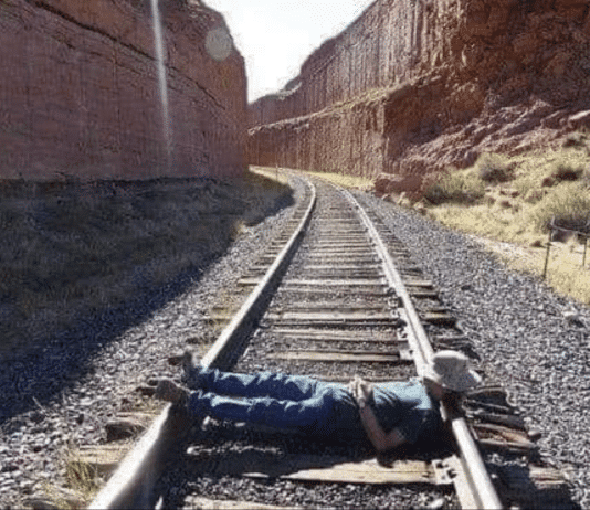 Ancient horse’s arses control almost everything