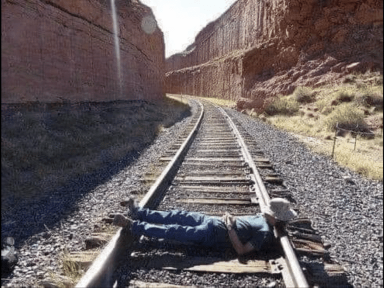 Ancient horse’s arses control almost everything