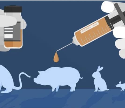 Labour Government To Set In Place Strategy To Phase Out Animal Testing