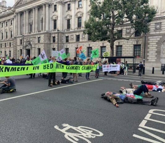 Insulate Britain: Why?