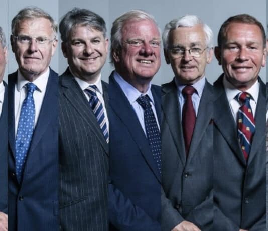 These Tory MPs: they all look the same to me