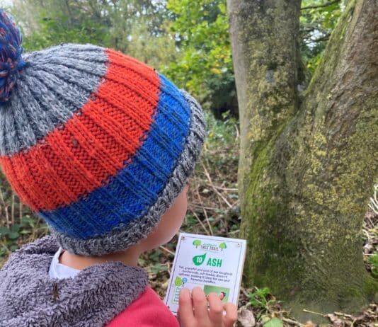 Weymouth Town Council installs Tree Trail in Lodmoor Country Park