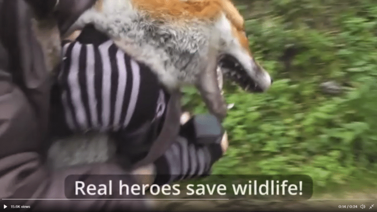 Men from Sherborne, Dorchester and Blandford areas appear in court following hunting incident