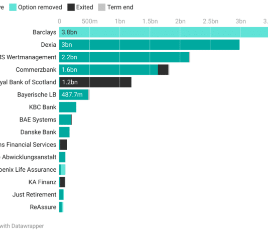 Dorset Council’s LOBO and high risk loans revealed