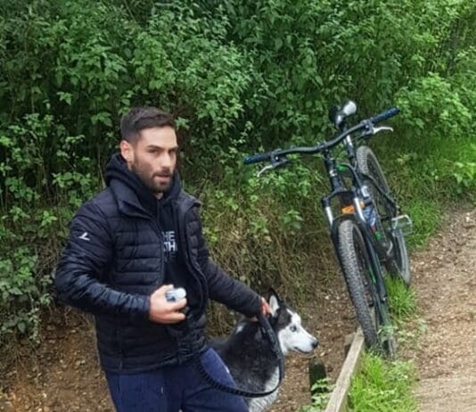 Image appeal following death of swan in Bournemouth