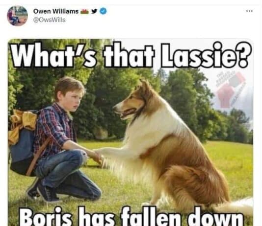 Memes of the year: 2021