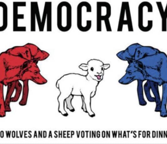 The Illusion of Democracy: Government by the Rich for the Even Richer