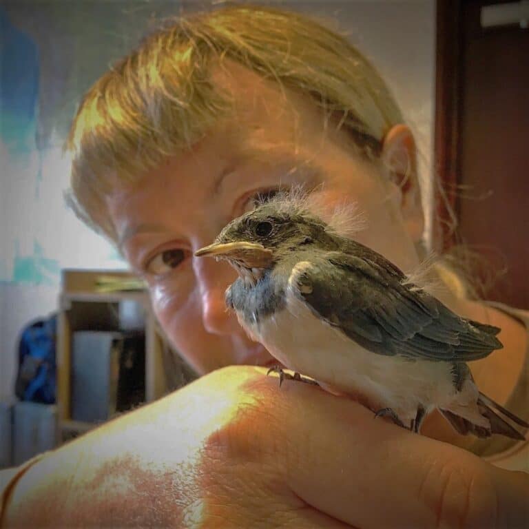 Emma Smart and five other Insulate Britain activists to be released tomorrow