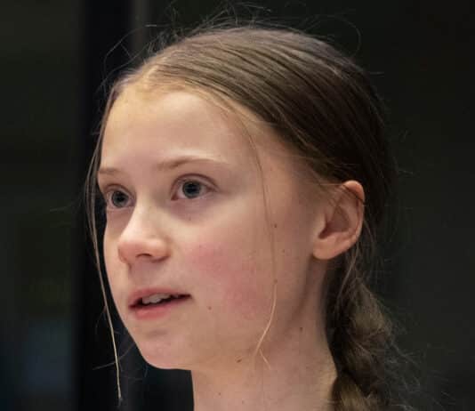 Guess who is coming after Greta Thunberg now?