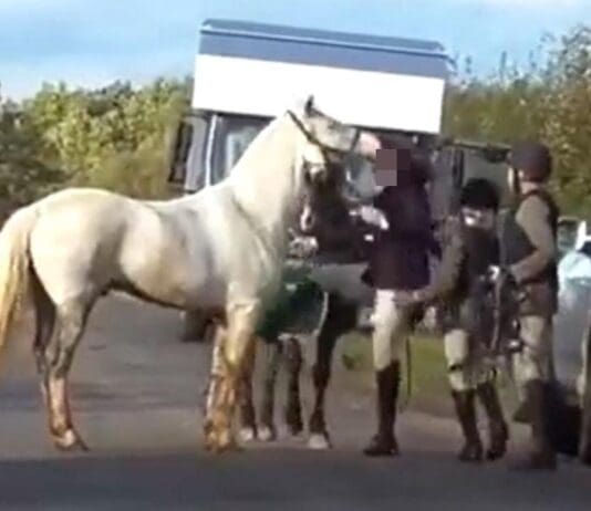 Next time a huntsperson says they love and care for their animals… show them this