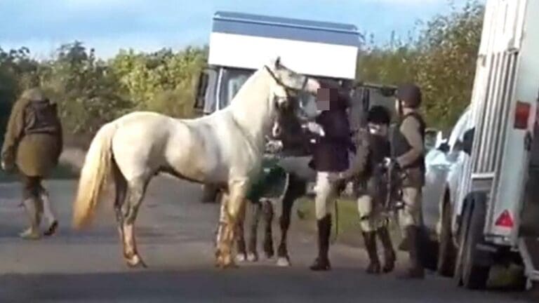 Next time a huntsperson says they love and care for their animals… show them this