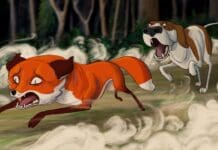 Love and Protect the Countryside but Hate Cruelty