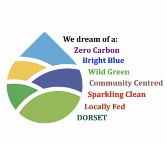 Statement of thanks to Dorset Council from Dorset Climate Action Network
