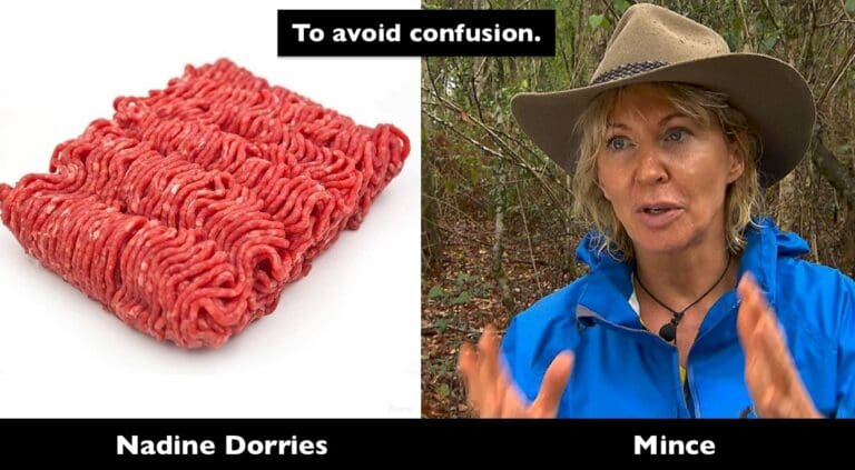 Remember this is the Culture Secretary Nadine Dorries