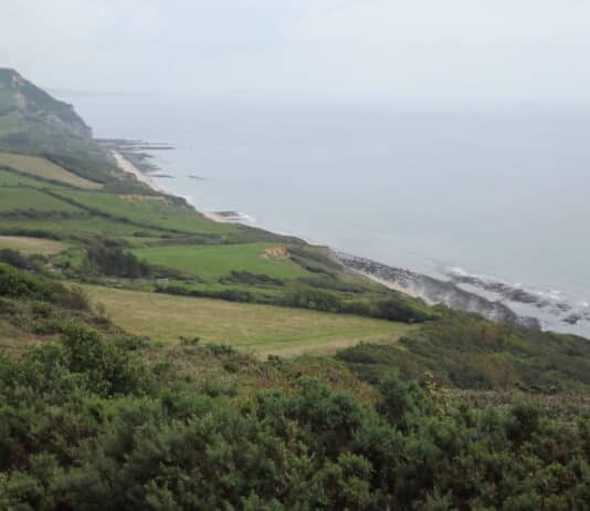 Rocking Around: Golden Cap to Charmouth