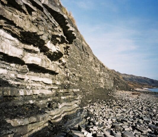 Rocking Around: Charmouth and Lyme Regis