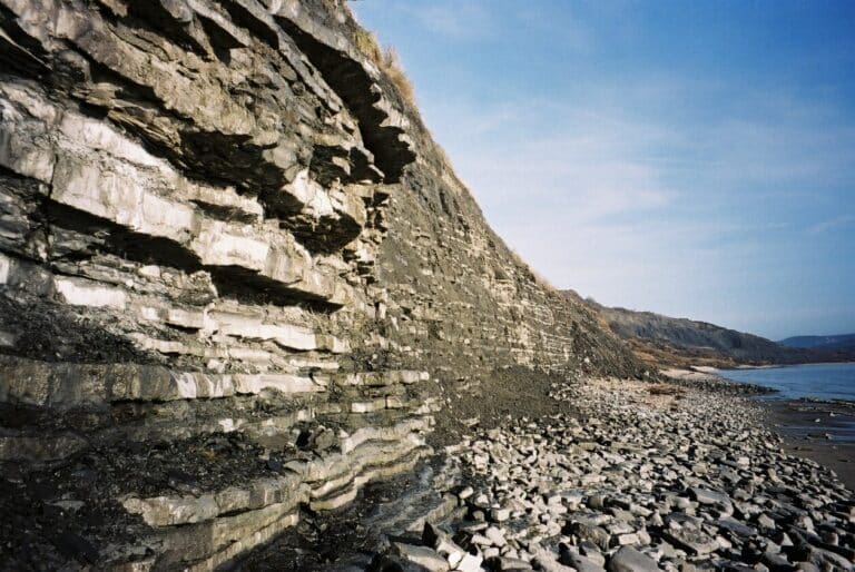 Rocking Around: Charmouth and Lyme Regis