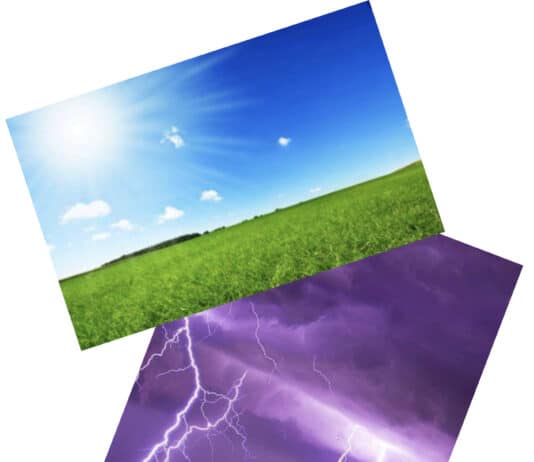 What we could of had versus what we got. Socialism vs Sociopathy