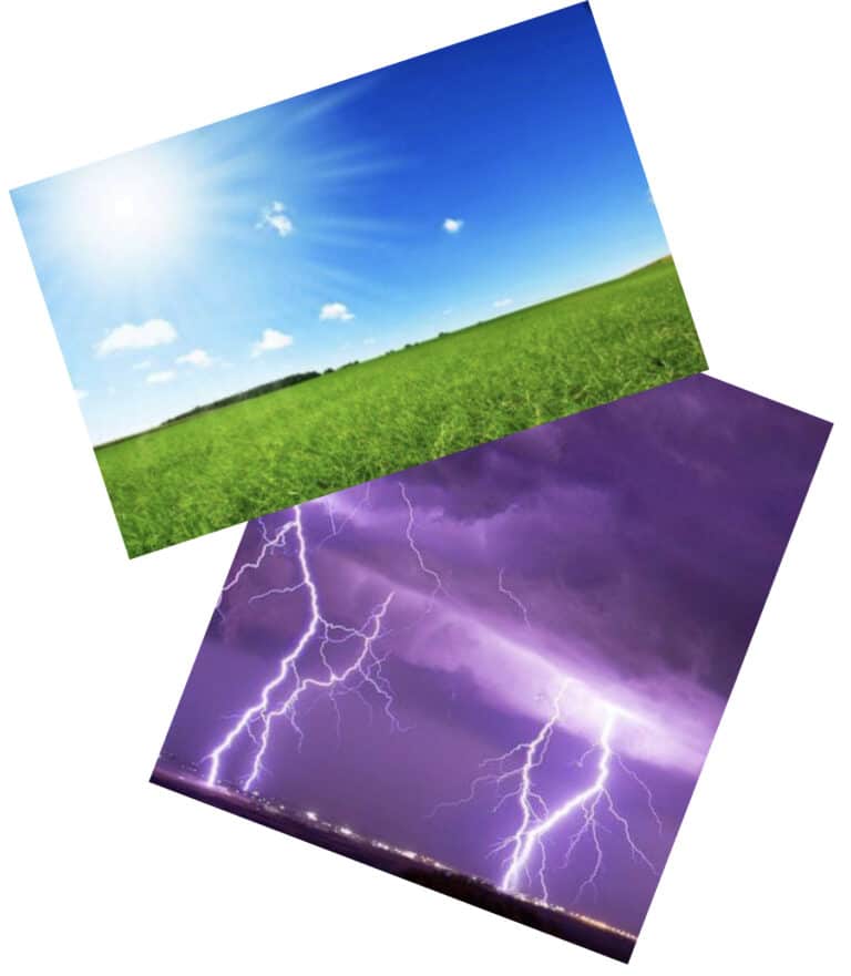 What we could of had versus what we got. Socialism vs Sociopathy