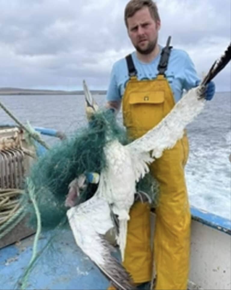 Fishing industry dumping their nets and destroying marine ecosystems
